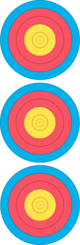 картинка Мишень бумажная FITA 3x20см Vertical 102806 от магазина Arbalet.ru 