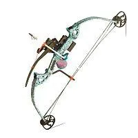 картинка Лук блочный Discovery Bowfishing PKG PSE (США) от магазина Arbalet.ru